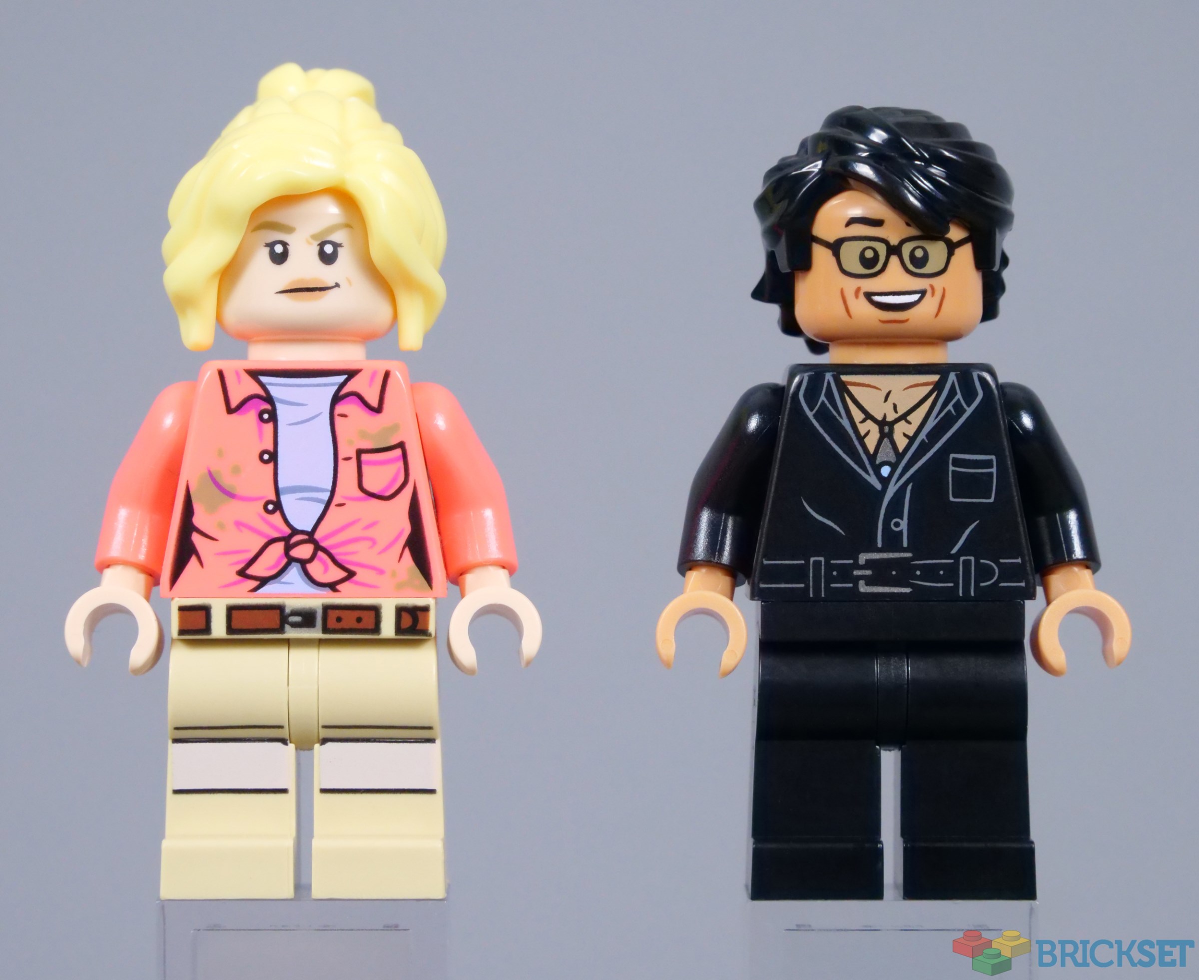 洋書 Spine,Spinal,Cord,And ANS LEGO Jurassic Park 76959 Triceratops Research Dinosaur